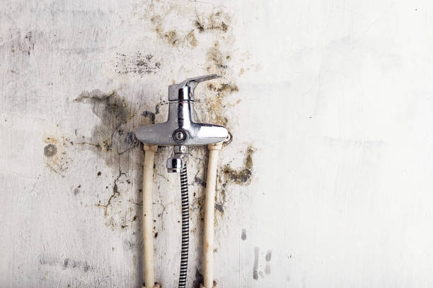 Professional Mold Removal in Copeland, OK