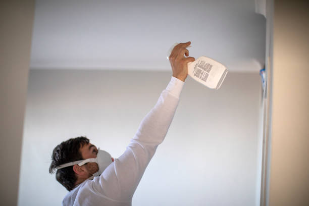 Best Mold Removal Process  in Copeland, OK