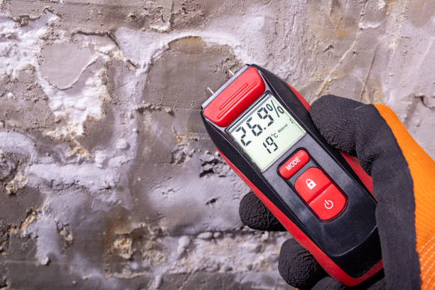 Best Office Mold Removal Services  in Copeland, OK