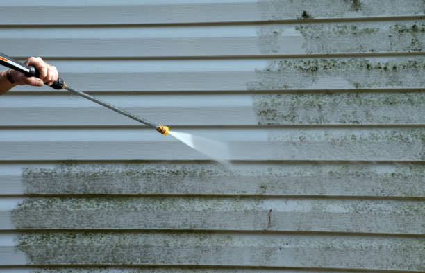 Best Certified Mold Removal  in Copeland, OK