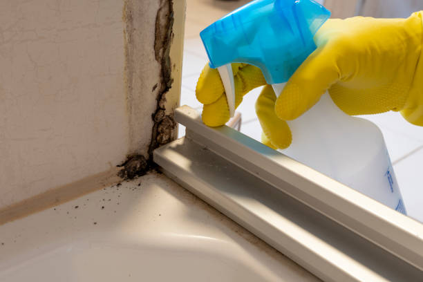 Best Mold Remediation  in Copeland, OK