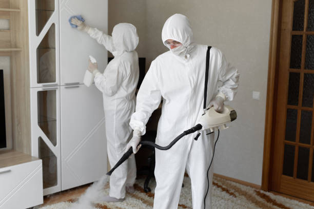Certified Mold Removal in Copeland, OK