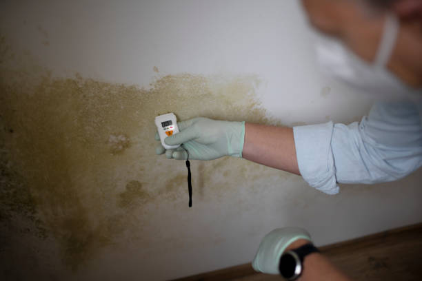 Crawl Space Mold Removal in Copeland, OK