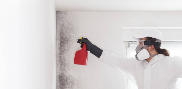 Best Attic Mold Removal  in Copeland, OK