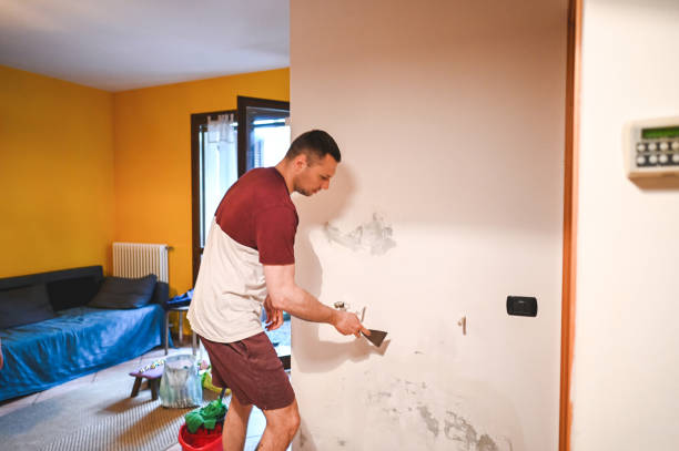 Best Mold Remediation  in Copeland, OK