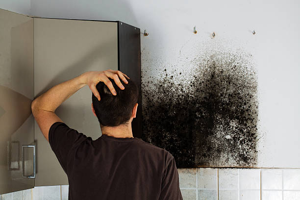Best Crawl Space Mold Removal  in Copeland, OK