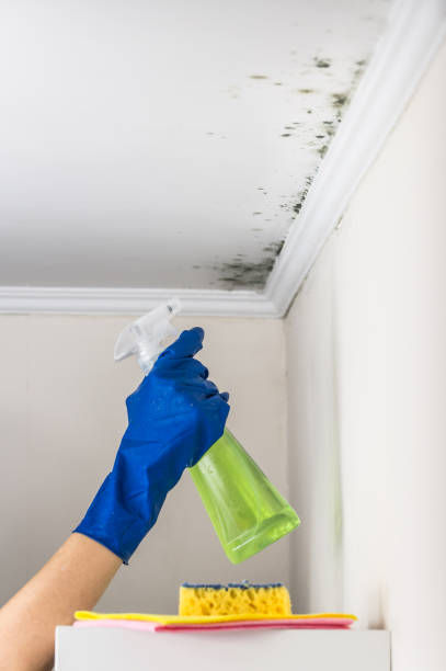 Water Damage Restoration in Copeland, OK