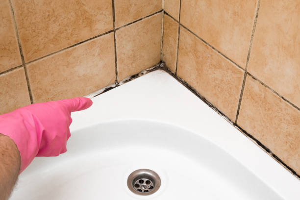 Best Commercial Mold Removal  in Copeland, OK